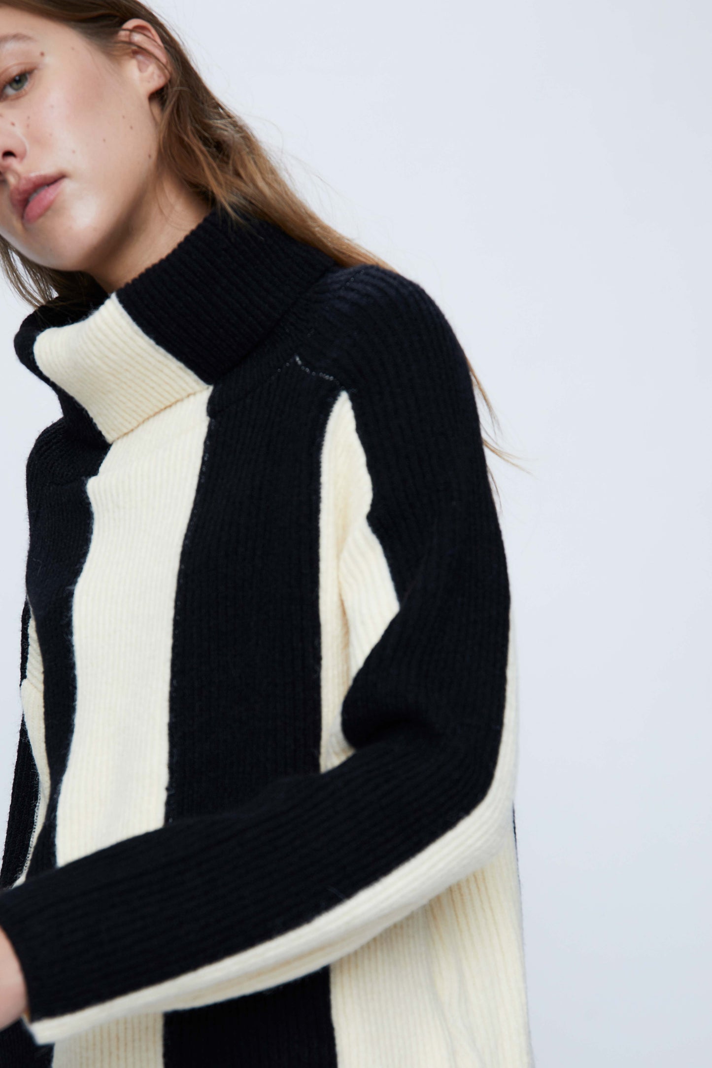 Striped Print Turtleneck Knitted Sweater